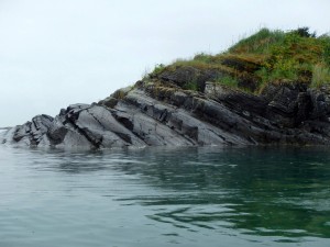 A bird sanctuary on an unnamed island in Sebree Cove (1)        